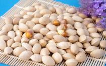 腎虛怎么辦，這幾種食物讓你壯陽補腎