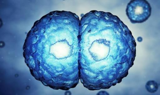 平時不痛不癢，一查癌癥就是晚期？醫生奉勸：7類人需定期