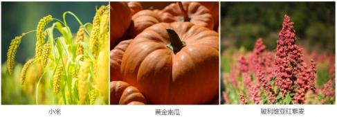 海參配粥吃，您的營(yíng)養(yǎng)新選擇！