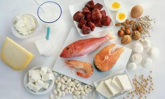 男人腎不好多吃這8種食物 應攝入充足的優質蛋白質