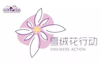2020蜜特奧兒“雪絨花計劃”全面開啟，隆重來襲！