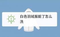 白色羽絨服臟了怎么清洗小妙招 冬季羽絨服清洗保養(yǎng)小知識