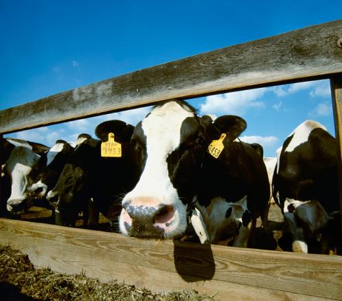 更懂營養的代餐棒！方特健一步搞定，給身體來個“大掃除”！