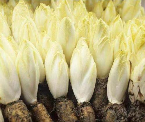 更懂營養的代餐棒！方特健一步搞定，給身體來個“大掃除”！