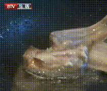甲醛浸泡過的帶魚，一碰熱油就扭曲、炸裂開花，千萬別買別吃！