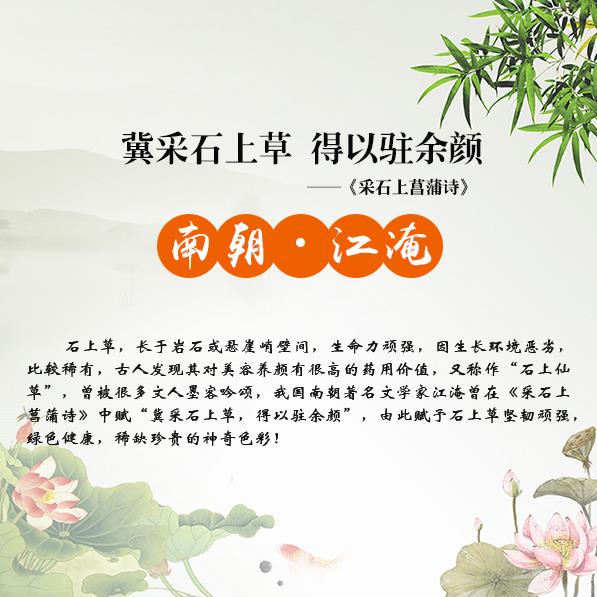 夏天掉頭發是什么原因 怎么防掉頭發？